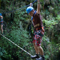 Varghis2012_Lynx_17