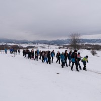 Cercetasii_Romaniei_Izvoru_Muresului_2026_3