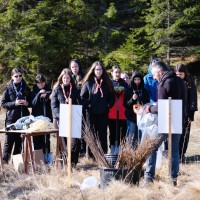 Cercetasii_Romaniei_reimpadurire_Balan_2