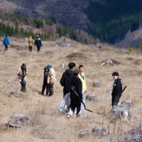 Cercetasii_Romaniei_reimpadurire_Balan_3